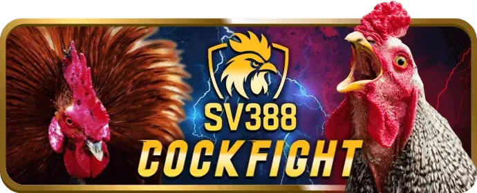 Hỗ trợ khách hàng 24/7 của 99wim